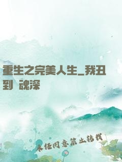 重生之完美人生