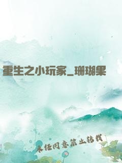 重生之小玩家