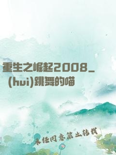 重生之崛起2008