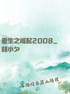 重生之崛起2008