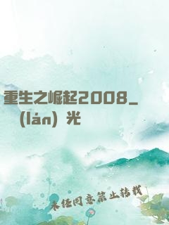 重生之崛起2008