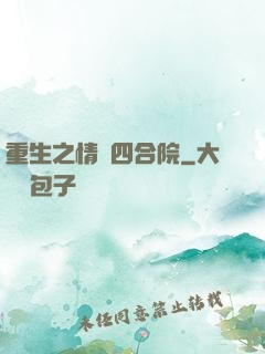 重生之情滿四合院