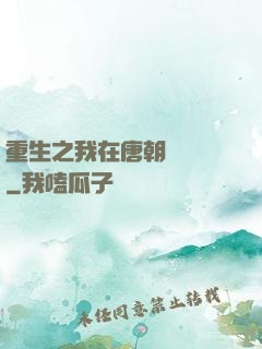 重生之我在唐朝賣絲襪