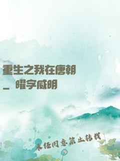 重生之我在唐朝賣絲襪