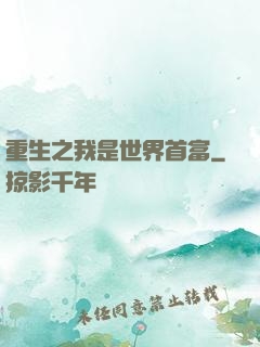 重生之我是世界首富
