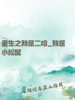 重生之我是二哈