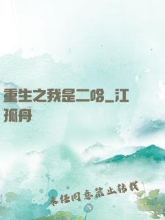 重生之我是二哈