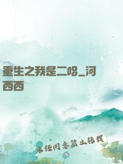 重生之我是二哈