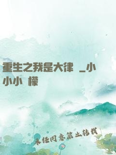 重生之我是大律師