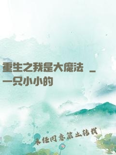 重生之我是大魔法師