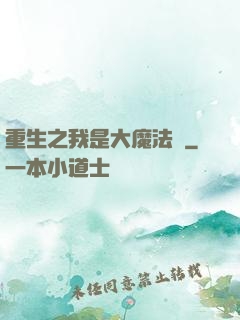 重生之我是大魔法師