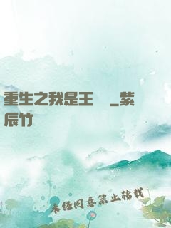 重生之我是王滿銀
