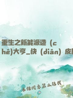 重生之新能源造車(chē)大亨