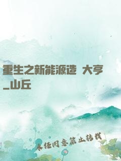 重生之新能源造車大亨