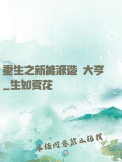 重生之新能源造車大亨
