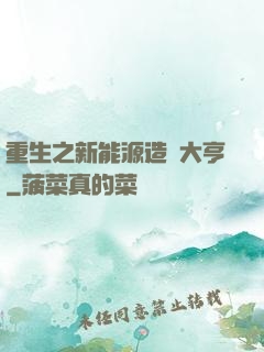 重生之新能源造車大亨