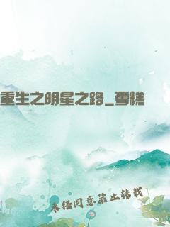 重生之明星之路