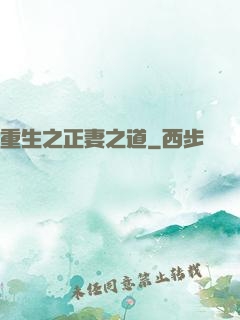 重生之正妻之道