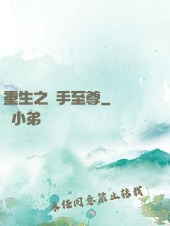 重生之殺手至尊