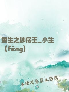 重生之炒房王