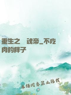重生之無雙魂帝