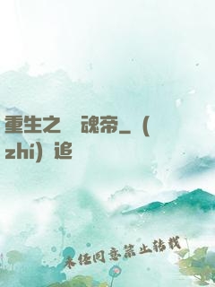 重生之無雙魂帝