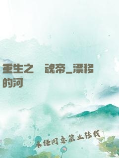 重生之無雙魂帝