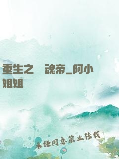 重生之無雙魂帝