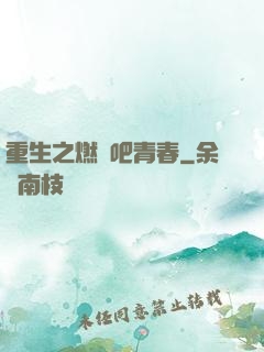 重生之燃燒吧青春