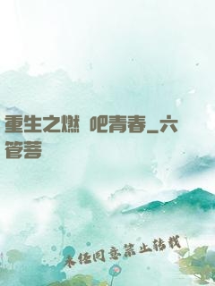 重生之燃燒吧青春