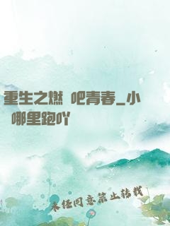 重生之燃燒吧青春