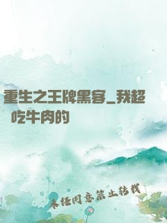 重生之王牌黑客