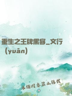 重生之王牌黑客