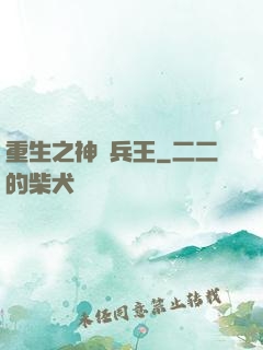 重生之神極兵王