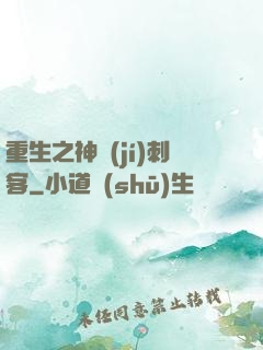 重生之神級(jí)刺客