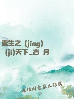 重生之經(jīng)濟(jì)天下