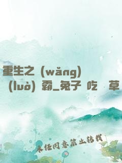 重生之網(wǎng)絡(luò)爭霸