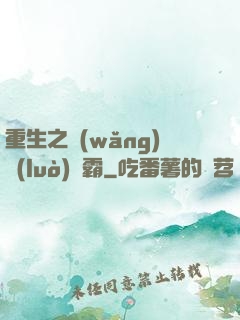 重生之網(wǎng)絡(luò)爭霸