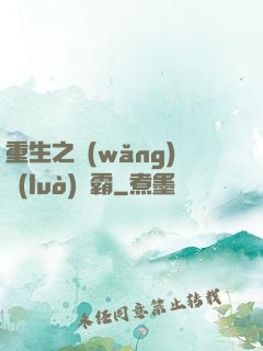 重生之網(wǎng)絡(luò)爭霸