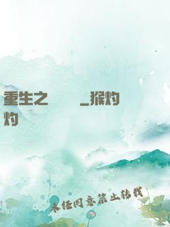 重生之網絡娛樂