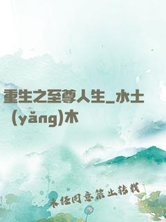 重生之至尊人生
