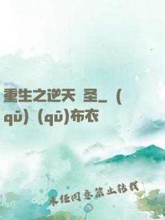 重生之逆天盜圣