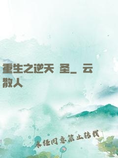 重生之逆天盜圣