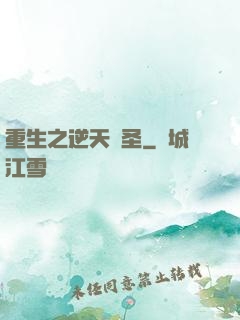 重生之逆天盜圣