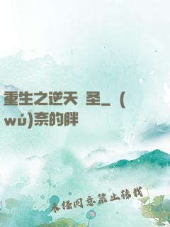 重生之逆天盜圣