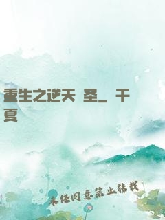 重生之逆天盜圣