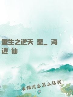 重生之逆天盜圣