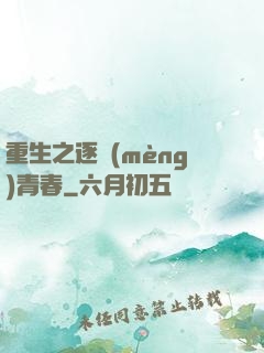 重生之逐夢(mèng)青春