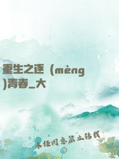 重生之逐夢(mèng)青春