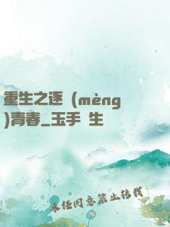 重生之逐夢(mèng)青春